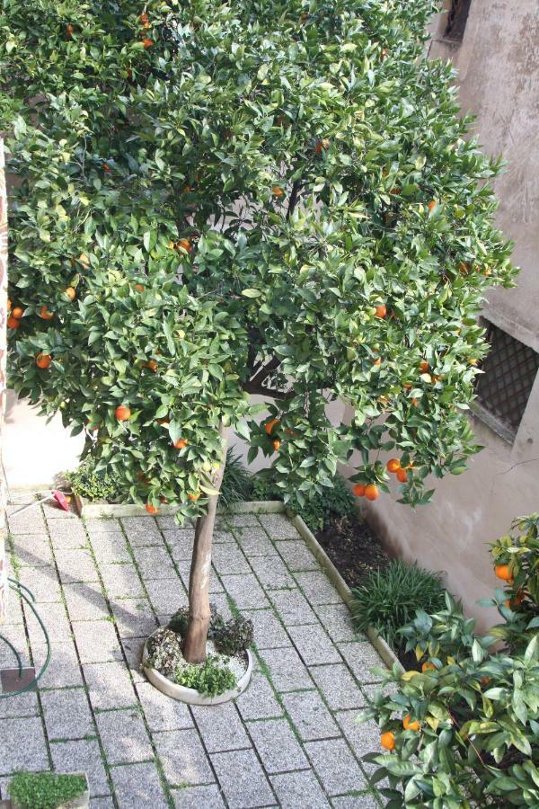 Wellnessinnrome Shortlet Bagian luar foto